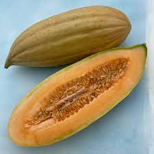 Gold Banana Melon Fruit Seeds for Planting - Unique Melon Variety for Your Garden