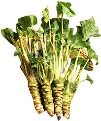 Horseradish Seeds for Planting - 100 pcs