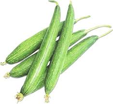 Green Sponge Gourd Vegetable Seeds for Planting, heirloom & Non-GMO Seeds