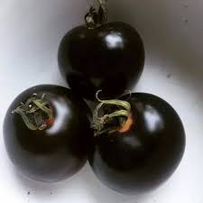 Black  Tomato Vegetable Seeds for Planting