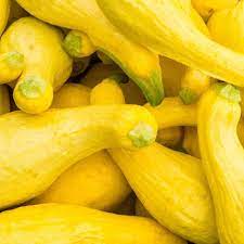 Crookneck Yellow Squash Grøntsagsfrø til udplantning - 100 stk