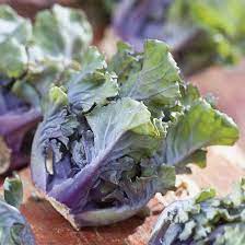 Purple Kalettes Vegetable Seeds for Planting heirloom & Non-GMO Seeds