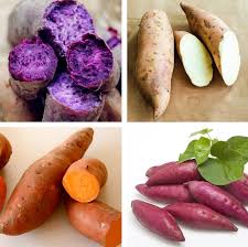 Multi-Colour Sweet Potato Seeds for Planting - 100 pcs