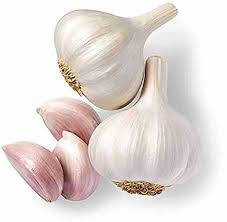 White Garlic Vegetable Seeds for Planting heirloom & Non-GMO Seeds