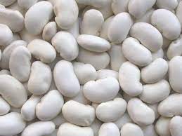 White Mogettes Beans Vegetable Seeds for Planting - heirloom & Non-GMO Seeds