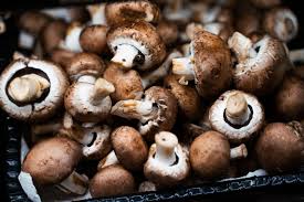 Cremini Mushroom (Baby Bella) Seeds for Planting -Heirloom & Non-GMO Seeds for planting