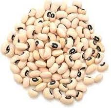 White Cattle Bean Seeds for Planting - heirloom & Non-GMO Seeds