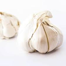 Elephant Garlic Seeds for Planting, White, 100 pcs