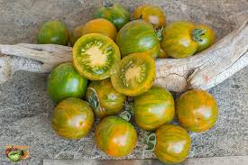 Orange Green Tomato Vegetable Seeds for Planting, heirloom & Non-GMO Seeds