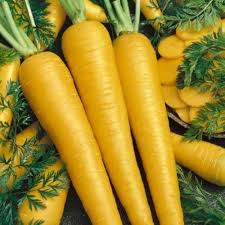 Yellow Carrot Seeds for Planting - 100 pcs