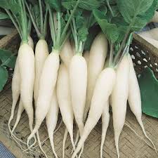 White Radish Vegetable Seeds for Planting - 100 pcs