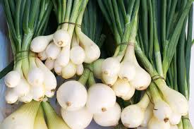 Green Spring Onions (Scallions)  Vegetable Seeds for Planting - 100 pcs