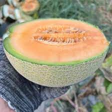 Orange Melon Frugtfrø – Forfriskende Sommerglæde 100 stk