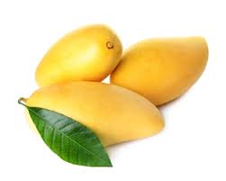 Ataulfo Mango Fruit Seeds for Planting – Organic, High-Yield, Easy to Grow, Heirloom seeds