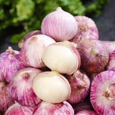 Purple White Garlic Seeds for Planting - Heirloom & Non-GMO Seeds