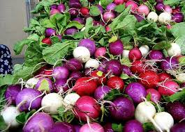 Rainbow Radish Seeds for Planting - 100 pcs