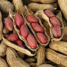 Valencia Peanuts Seeds for Planting, 100 pcs