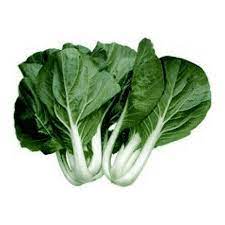 Bok Choy Green Seeds – Fast-Growing, High-Yield Asian Greens for Home Gardens