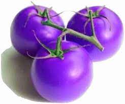 Lavender Tomato Vegetable Seeds for Planting heirloom & Non-GMO Seeds