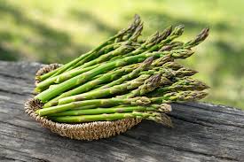 Green Asparagus Virgatus Plant Seeds for Planting, heirloom & Non-GMO Seeds