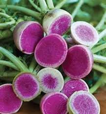 Watermelon Radish Seeds for Planting - Unique Vegetable 100 pcs