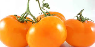 Deep Orange Tomato Seeds for Planting - 100 pcs