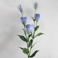 Silk Blue Lisianthus Flower Seeds for Planting - Heirloom, NON-GMO Seeds - Easy Grow Garden Blooms