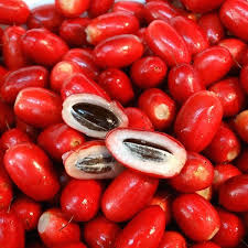 Miracle Fruit Seeds for Planting – Heirloom, Non-GMO Flavor-Changing Berry Tree for Home Garden & Indoor Growing