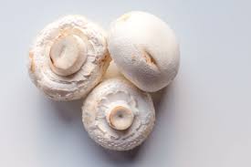 Button Mushroom Seeds for Planting - heirloom & Non-GMO Seeds