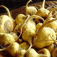 Maca Vegetable Seeds for Planting, heirloom & Non-GMO Seeds