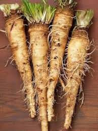 Russian Horseradish Seeds for Planting - Heirloom & Non-GMO Seeds