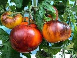 Brandywine Tomato Seeds for Planting, Red and Yellow, 100 pcs