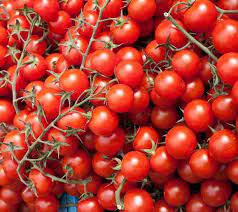 Heirloom Red Currant Tomato Seeds for Planting – Non-GMO, Organic Garden Seeds, High Germination