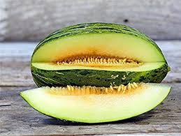 Piel de Sapo Muskmelon Fruit Seeds for Planting – Classic Sweet Melon for Beautiful Home Gardens