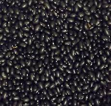 Black Turtle Pole Bean Vegetable Seeds for Planting heirloom & Non-GMO Seeds