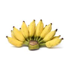 Kluai Namwa (Thai Banana) Banana Fruit Seeds for Planting - Non-GMo Seeds