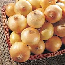 Yellow Onion Vegetable Seeds for Planting - 100 pcs