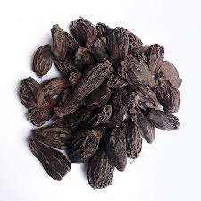 Black Cardamom Plant Seeds for Indoor or Outdoor Herb Gardens