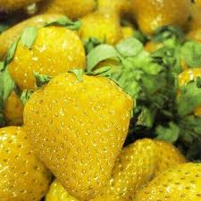 Yellow Strawberry Fruit Seeds for Planting – Sweet and Juicy - Heirloom & non GMO seeds