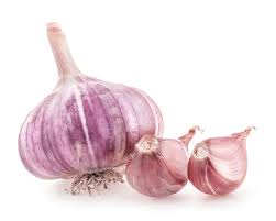 Purple Stripe Garlic Vegetable Seeds for Planting