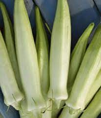 White Okra Vegetable Seeds for Planting – Heirloom, Non-GMO Seeds for High-Yield Organic Garden Growing