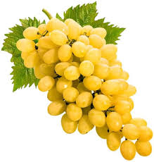 Golden Grapes Fruit Seeds for Planting - Sweet, Golden Grapes for Your Garden, Heirloom Seeds