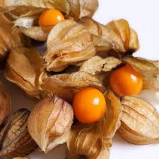 Ground Cherries Vegetable Seeds for Planting - 100 pcs