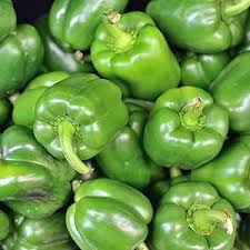 Bell Pepper California Wonder Seeds – High Yield, Sweet &amp; Crisp Heirloom Variety