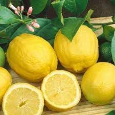 Eureka Lemon Grafted Fruit Seeds for Planting
