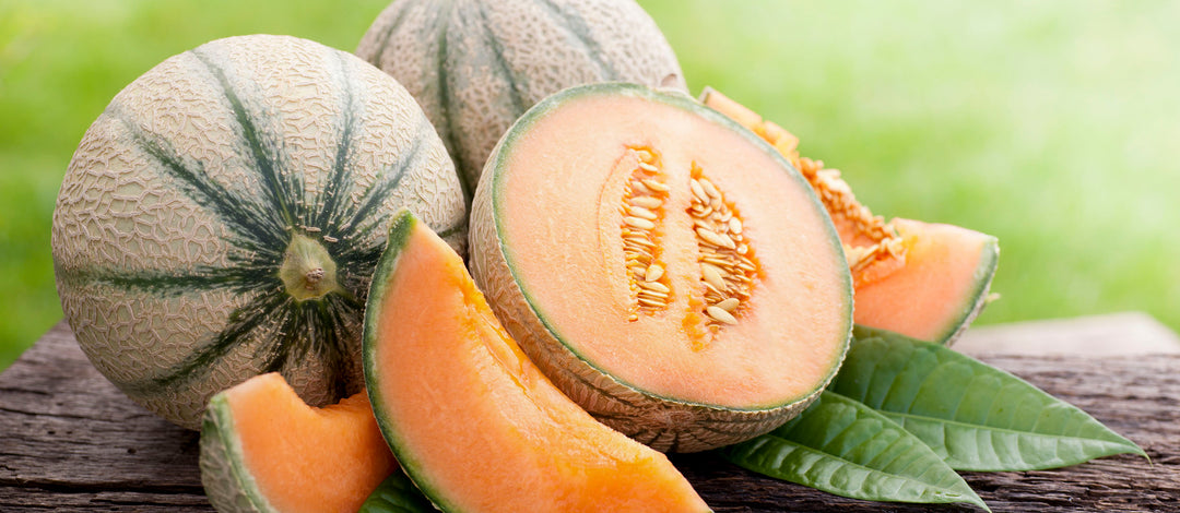 European Cantaloupe Melon Fruit Seeds for Planting