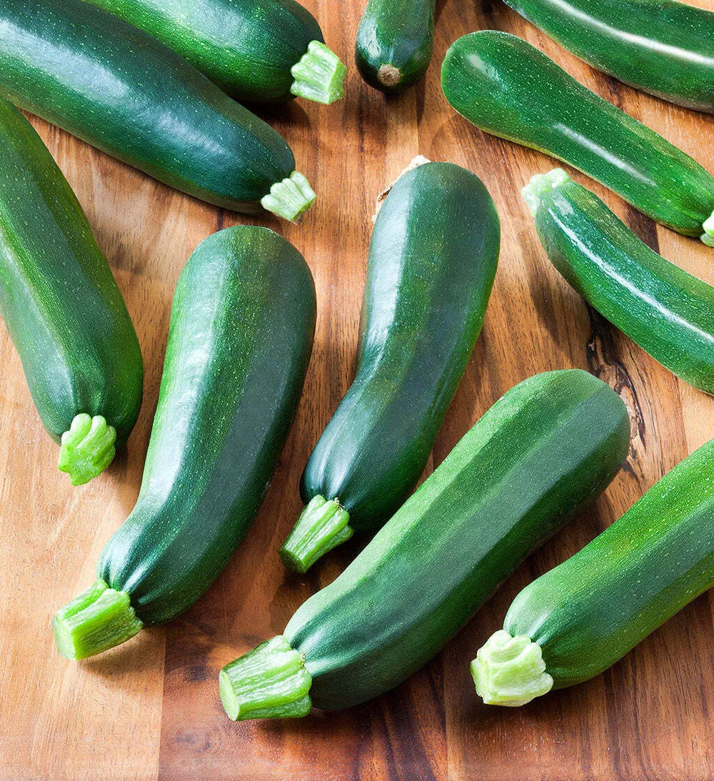 Zucchini Black Beauty Seeds