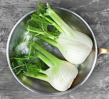 Fennel Plant Seeds