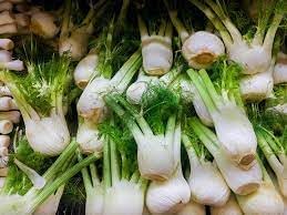 Fennel Plant Seeds