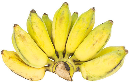 Kluai Namwa (Thai Banana) Banana Fruit Seeds for Planting - Non-GMo Seeds